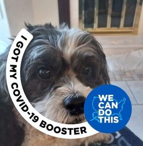 Meet your Posher, Lane